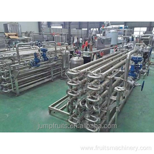 Complete set of papaya juice making machine